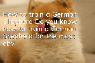 How to train a German Shepherd Do you know how to train a German Shepherd for the most obvious effect?