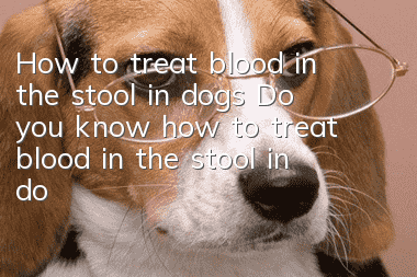 How to treat blood in the stool in dogs? Do you know how to treat blood in the stool in dogs?