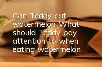 Can Teddy eat watermelon? What should Teddy pay attention to when eating watermelon?