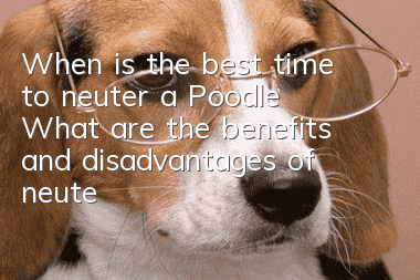 When is the best time to neuter a Poodle? What are the benefits and disadvantages of neutering a Poodle?