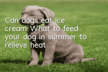 Can dogs eat ice cream? What to feed your dog in summer to relieve heat