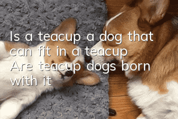 Is a teacup a dog that can fit in a teacup? Are teacup dogs born with it?