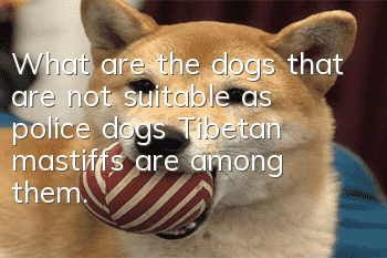 What are the dogs that are not suitable as police dogs? Tibetan mastiffs are among them.