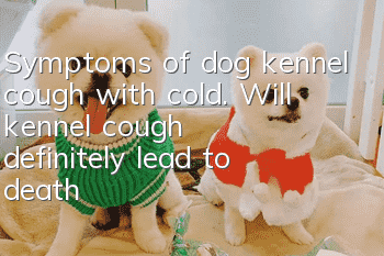 Symptoms of dog kennel cough with cold. Will kennel cough definitely lead to death?