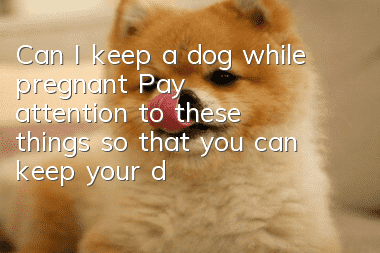 Can I keep a dog while pregnant? Pay attention to these things so that you can keep your dog with peace of mind