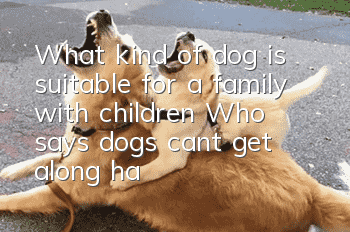 What kind of dog is suitable for a family with children? Who says dogs can’t get along harmoniously with children!