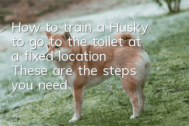 How to train a Husky to go to the toilet at a fixed location? These are the steps you need to master