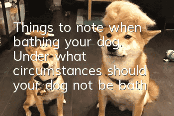 Things to note when bathing your dog. Under what circumstances should your dog not be bathed?