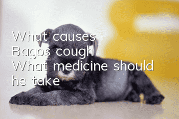 What causes Bago's cough? What medicine should he take?