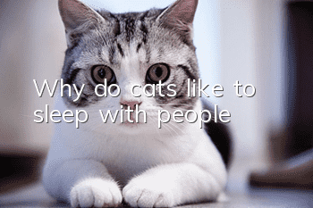 Why do cats like to sleep with people?