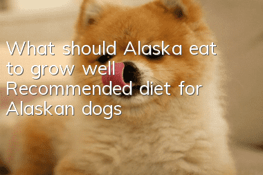 What should Alaska eat to grow well? Recommended diet for Alaskan dogs