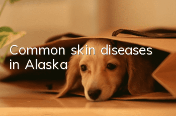 Common skin diseases in Alaska
