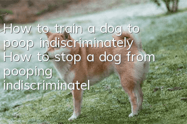 How to train a dog to poop indiscriminately How to stop a dog from pooping indiscriminately