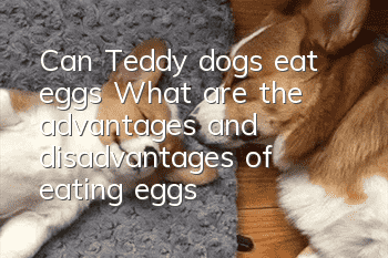 Can Teddy dogs eat eggs? What are the advantages and disadvantages of eating eggs?