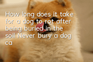 How long does it take for a dog to rot after being buried in the soil? Never bury a dog casually after death