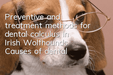 Preventive and treatment methods for dental calculus in Irish Wolfhounds Causes of dental calculus