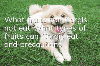 What fruits can Corgis not eat? What types of fruits can Corgis eat and precautions?