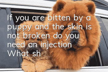 If you are bitten by a puppy and the skin is not broken, do you need an injection? What should you do if you are bitten by a dog?