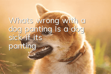 What’s wrong with a dog panting? Is a dog sick if it’s panting?