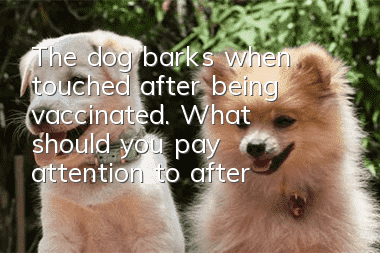 The dog barks when touched after being vaccinated. What should you pay attention to after the dog is vaccinated?