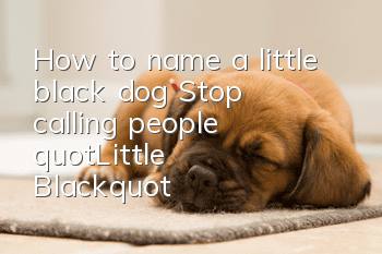 How to name a little black dog? Stop calling people "Little Black"