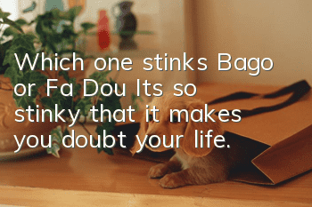 Which one stinks, Bago or Fa Dou? It’s so stinky that it makes you doubt your life.