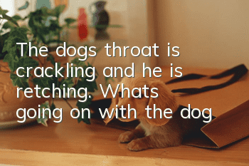 The dog’s throat is crackling and he is retching. What’s going on with the dog?