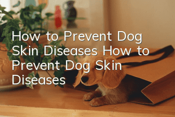 How to Prevent Dog Skin Diseases How to Prevent Dog Skin Diseases