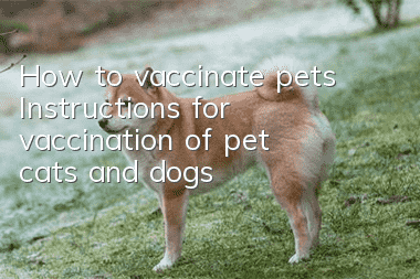 How to vaccinate pets? Instructions for vaccination of pet cats and dogs