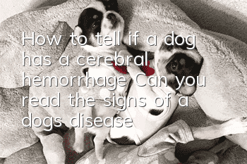 How to tell if a dog has a cerebral hemorrhage? Can you read the signs of a dog’s disease?