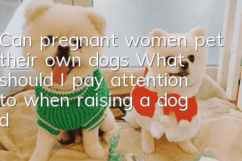 Can pregnant women pet their own dogs? What should I pay attention to when raising a dog during pregnancy?