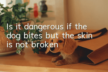 Is it dangerous if the dog bites but the skin is not broken?