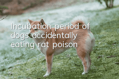 Incubation period of dogs accidentally eating rat poison