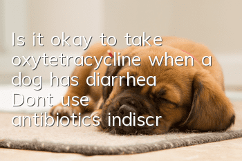 Is it okay to take oxytetracycline when a dog has diarrhea? Don’t use antibiotics indiscriminately