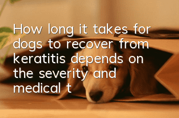How long it takes for dogs to recover from keratitis depends on the severity and medical treatment