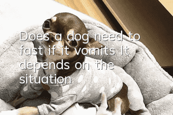 Does a dog need to fast if it vomits? It depends on the situation