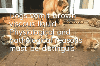 Dogs vomit brown viscous liquid. Physiological and pathological reasons must be distinguished.