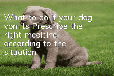 What to do if your dog vomits? Prescribe the right medicine according to the situation.