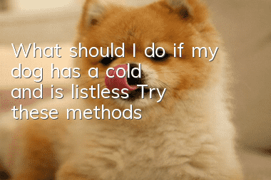 What should I do if my dog ​​has a cold and is listless? Try these methods