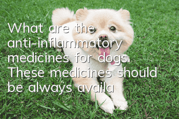 What are the anti-inflammatory medicines for dogs? These medicines should be always available when raising pets at home.