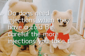 Do dogs need injections when they have a cold? Be careful, the more injections you take, the worse your health will be.