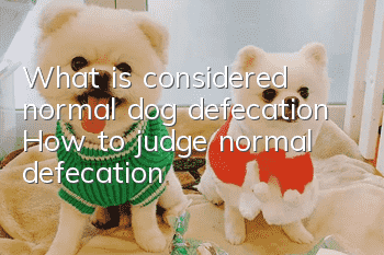 What is considered normal dog defecation? How to judge normal defecation?