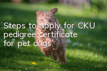 Steps to apply for CKU pedigree certificate for pet dogs