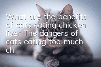 What are the benefits of cats eating chicken liver? The dangers of cats eating too much chicken liver