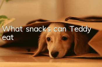 What snacks can Teddy eat?