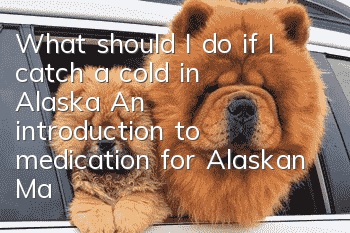 What should I do if I catch a cold in Alaska? An introduction to medication for Alaskan Malamutes