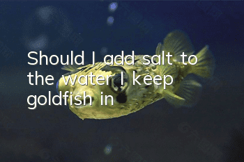 Should I add salt to the water I keep goldfish in?