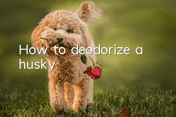 How to deodorize a husky