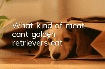What kind of meat can’t golden retrievers eat?