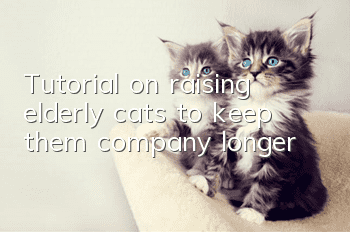 Tutorial on raising elderly cats to keep them company longer!